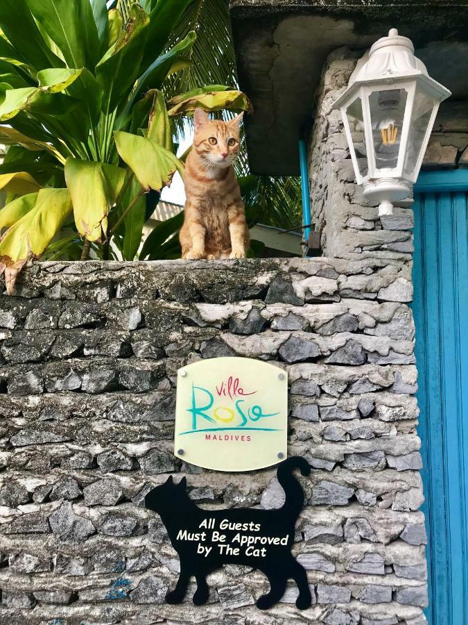 فيلا روزا مالديف Feridhoo المظهر الخارجي الصورة
